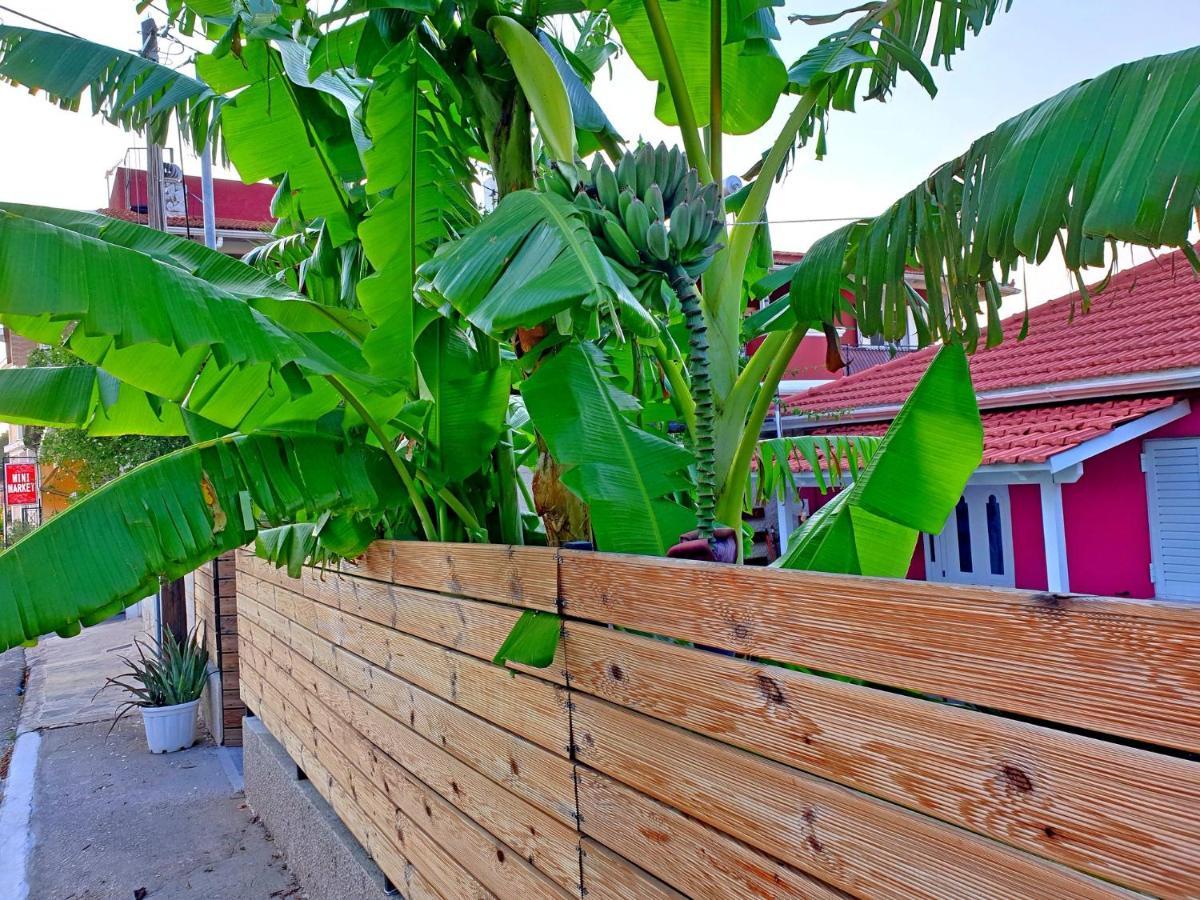 Vila Aloe House Lakíthra Exteriér fotografie