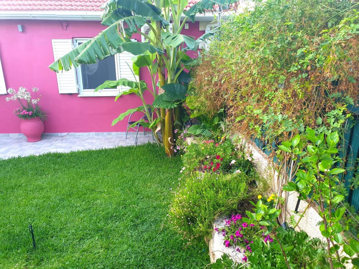 Vila Aloe House Lakíthra Exteriér fotografie