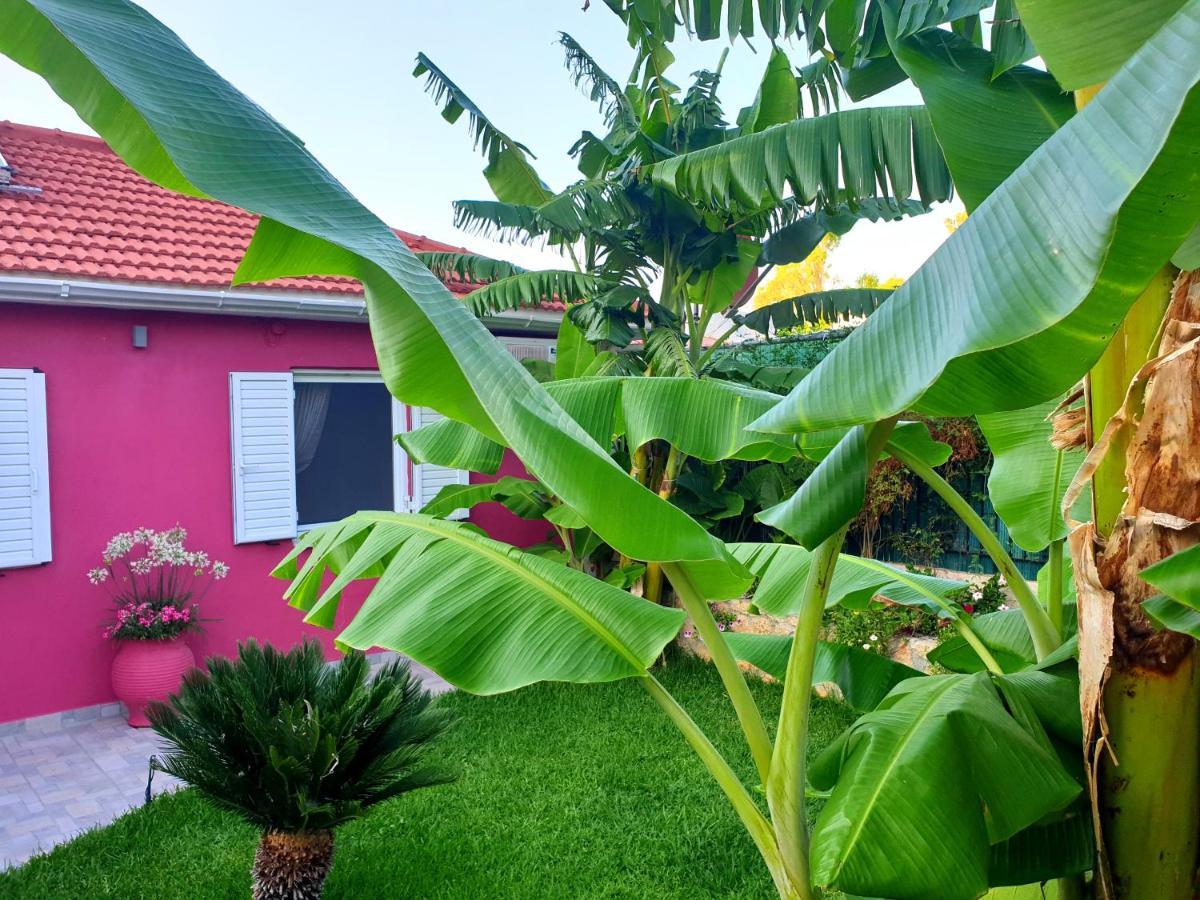 Vila Aloe House Lakíthra Exteriér fotografie