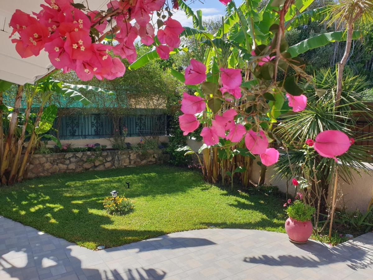 Vila Aloe House Lakíthra Exteriér fotografie